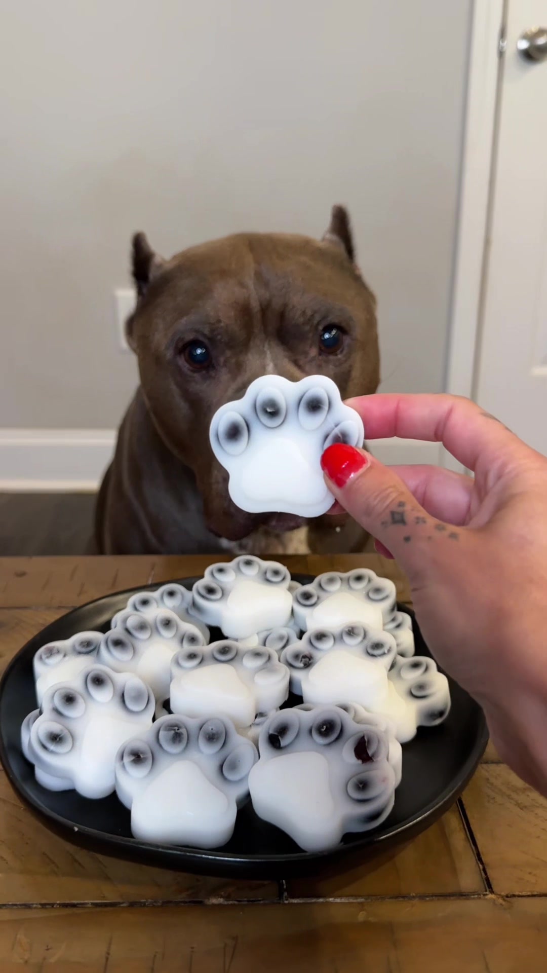 @My Dog’s Dope