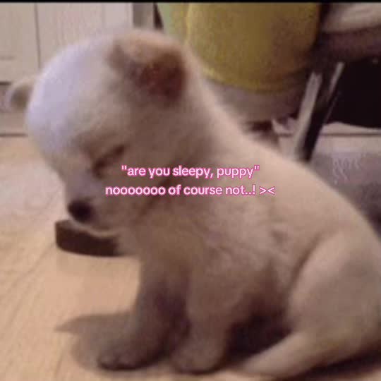@ayden ★