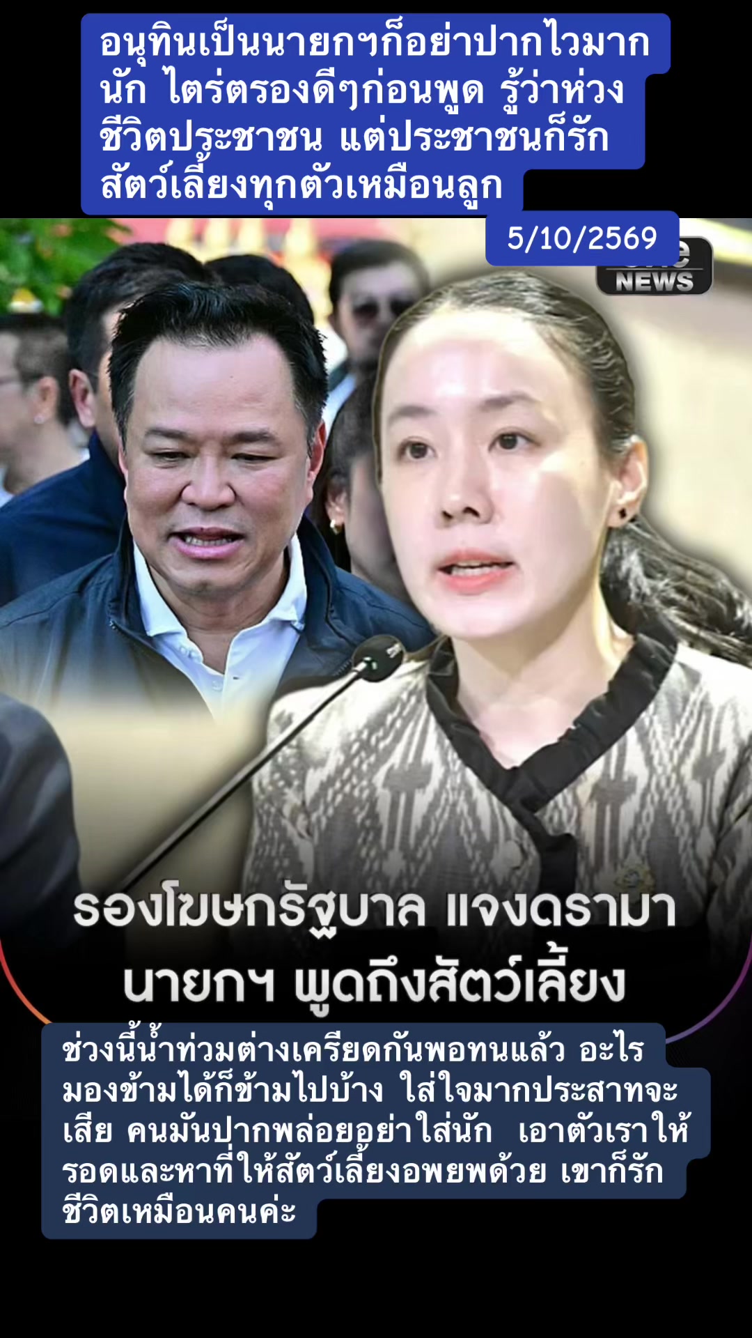 @ทาสแมว_News