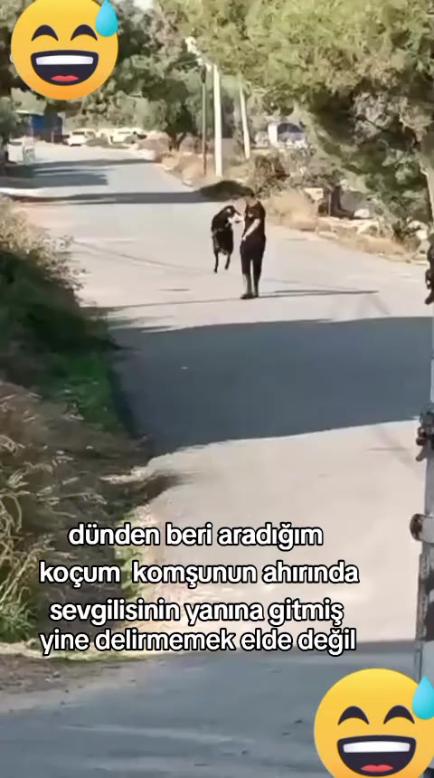 @Hayri Şahin