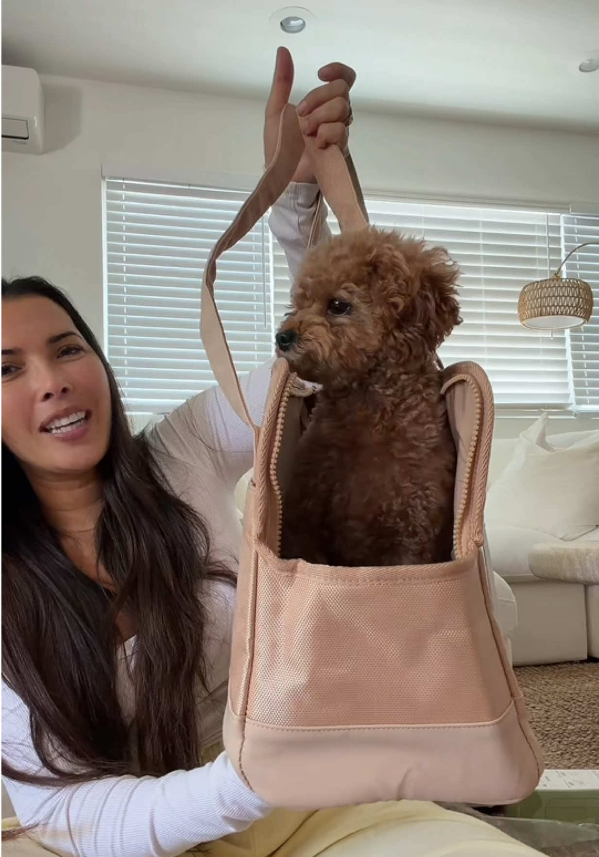@enzoprincethepup