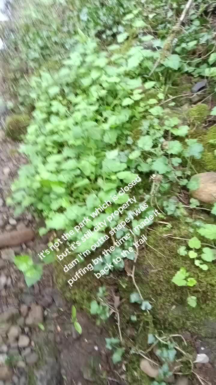 @Sean.Greiner_Silverton.Or