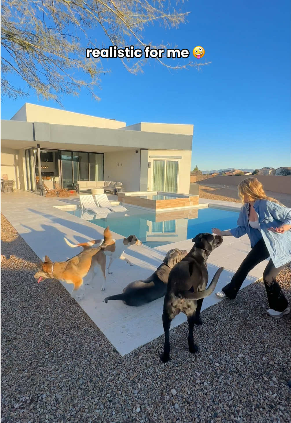 @Taylor + 4 dogs ๐ฉ๐ผ๐ถ๐ถ๐ถ๐ถ