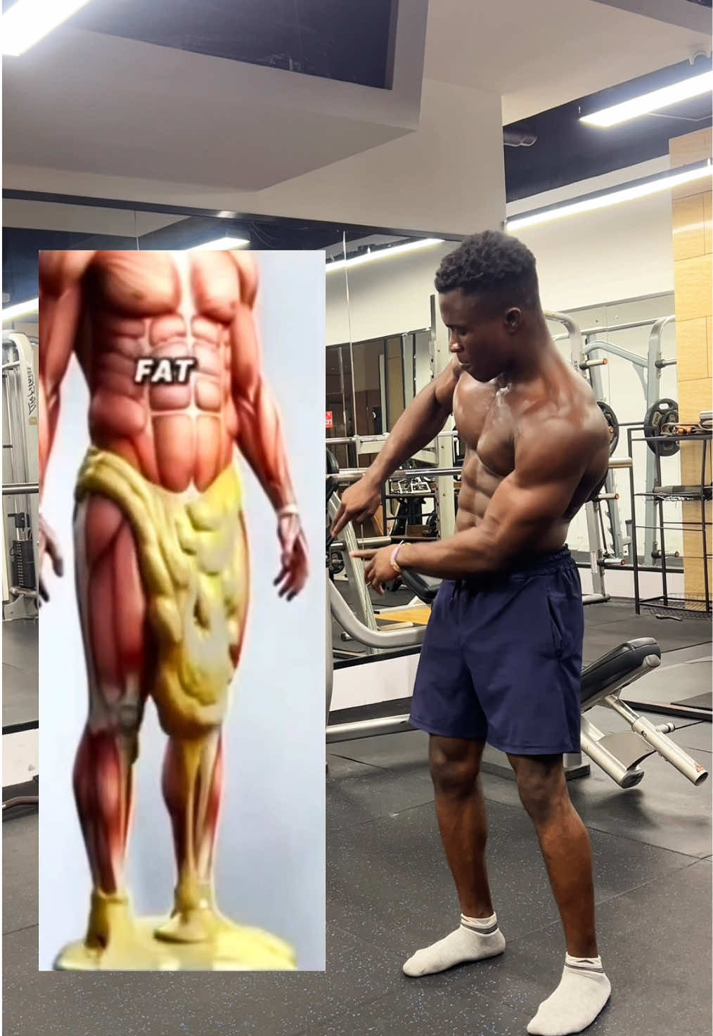 @FITNESS BEASTTRA