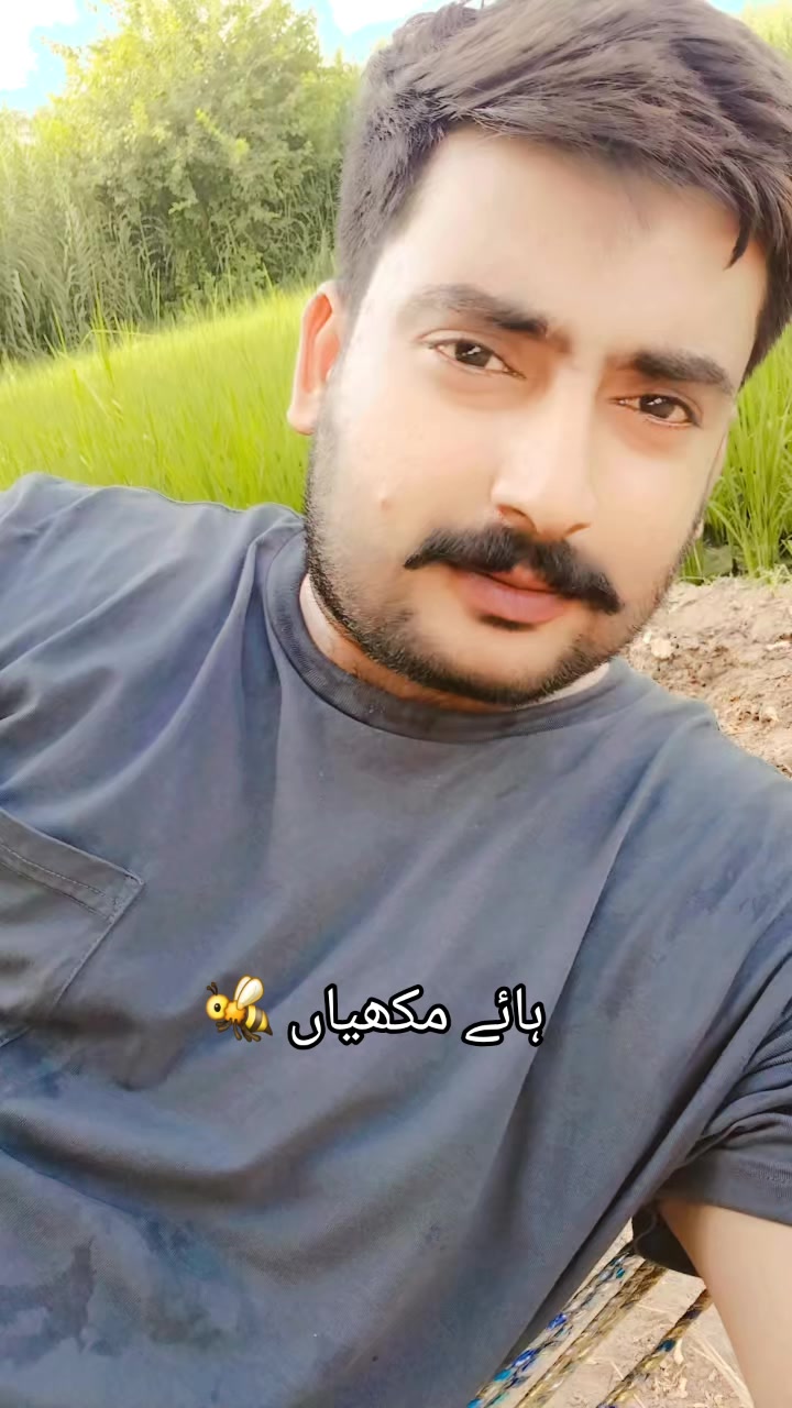 @Nawazish Ali