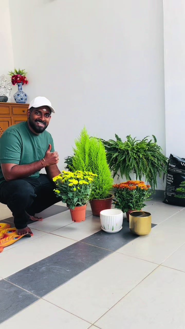 @✨🦚ராஜ்🦚✨