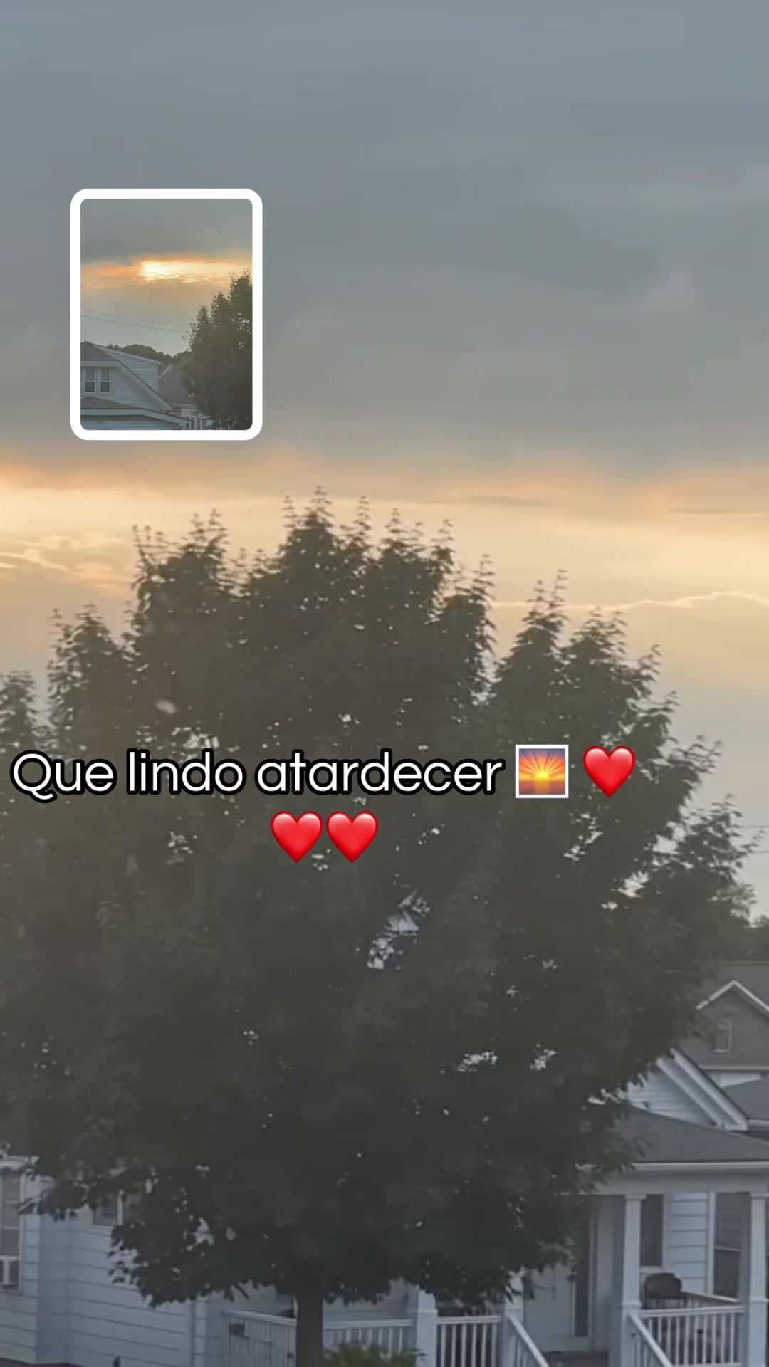 @🌻🌻Carolina G.🌻🌻