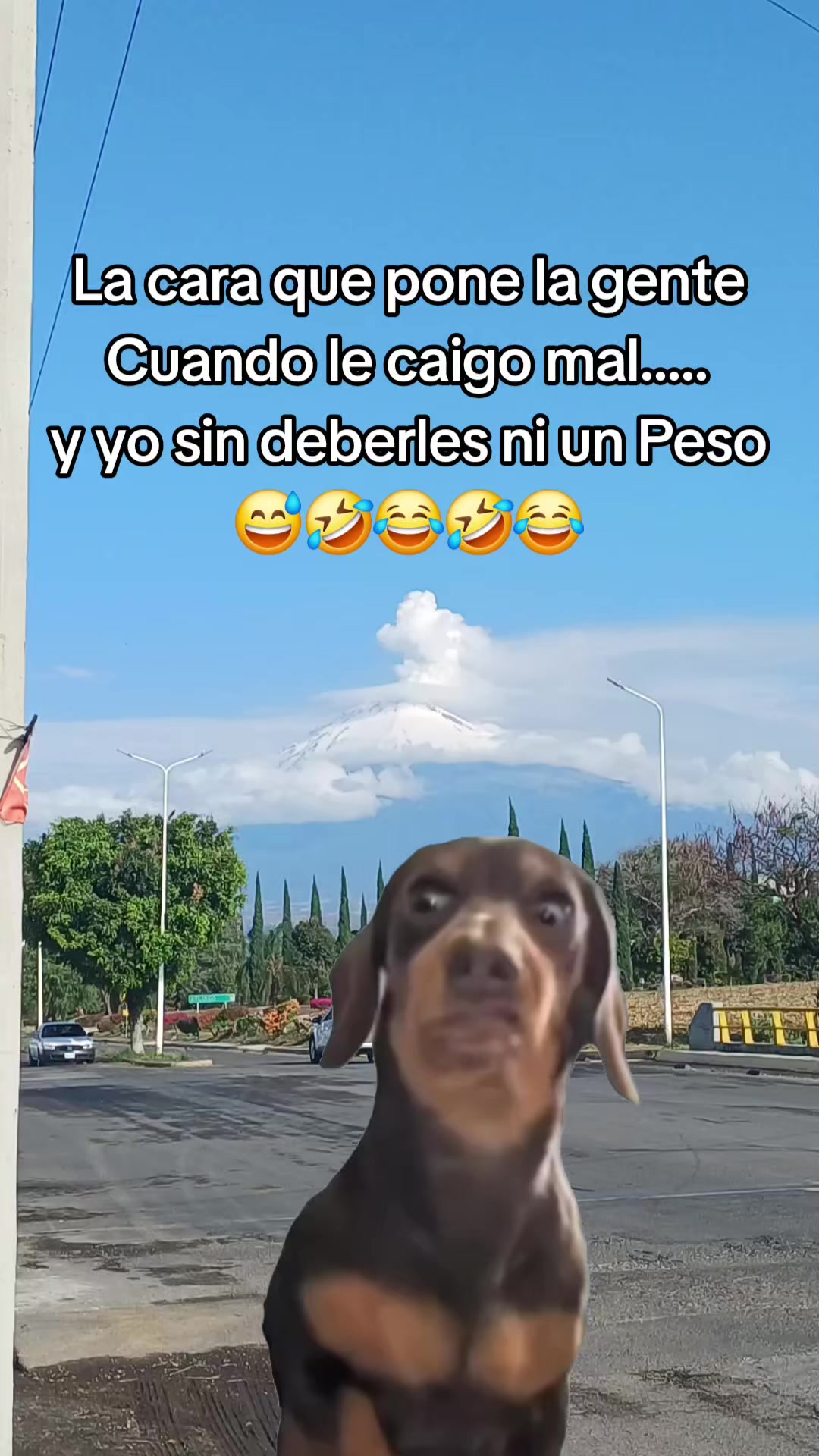 @✨️🫀la Güera🕊🍓