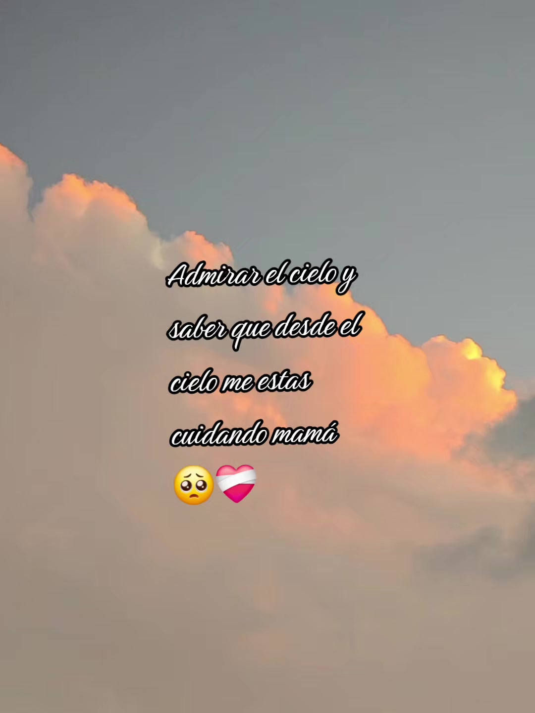 @Salas🙊