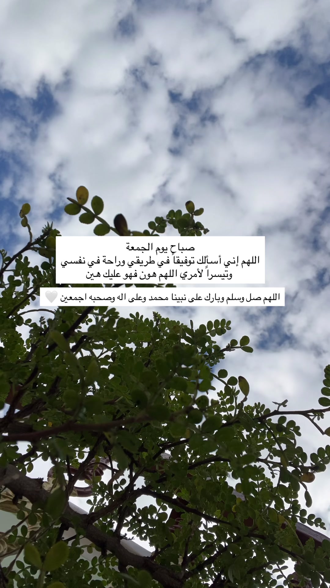 @لحظة الأمل 🫀🤍