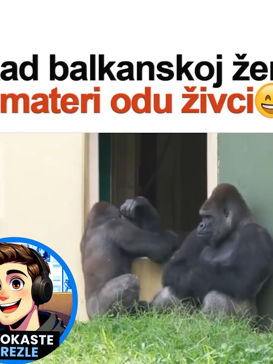 @ŠljokastePrezle