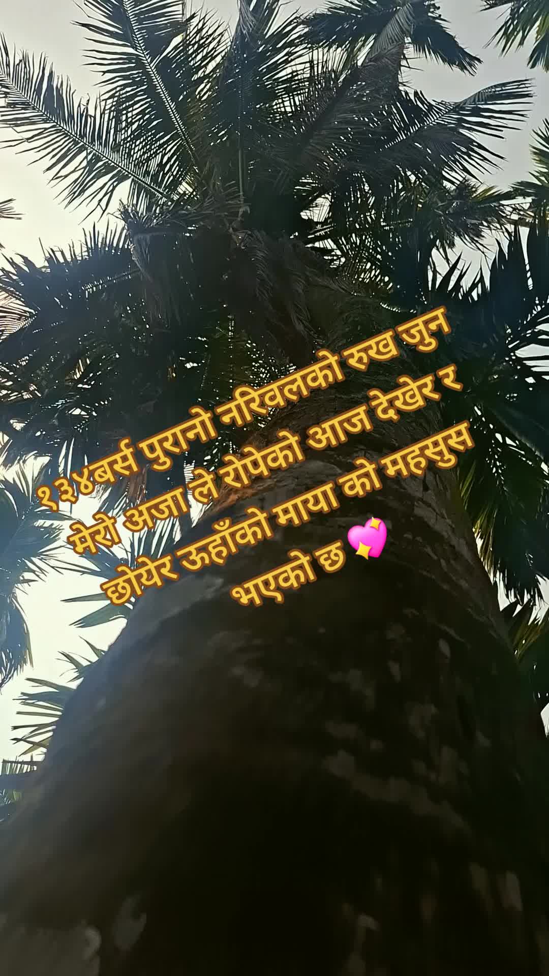 @sankar pradhan