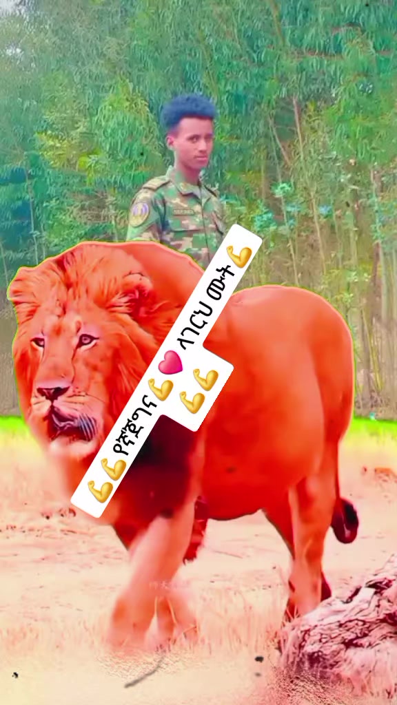 @ለምወዳት ልጅ ታማኚ ሁን