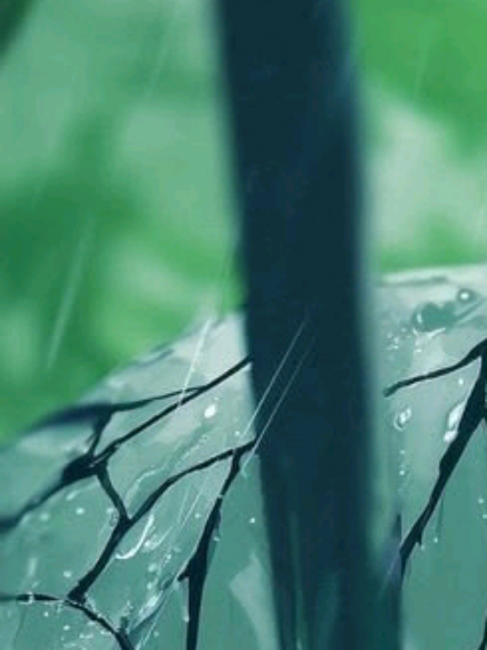 @ʀʏʏ.