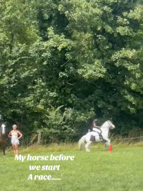 @Horses TikTok