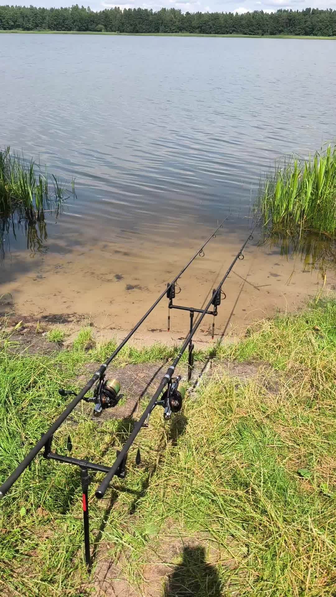 @yuricsolikcarp