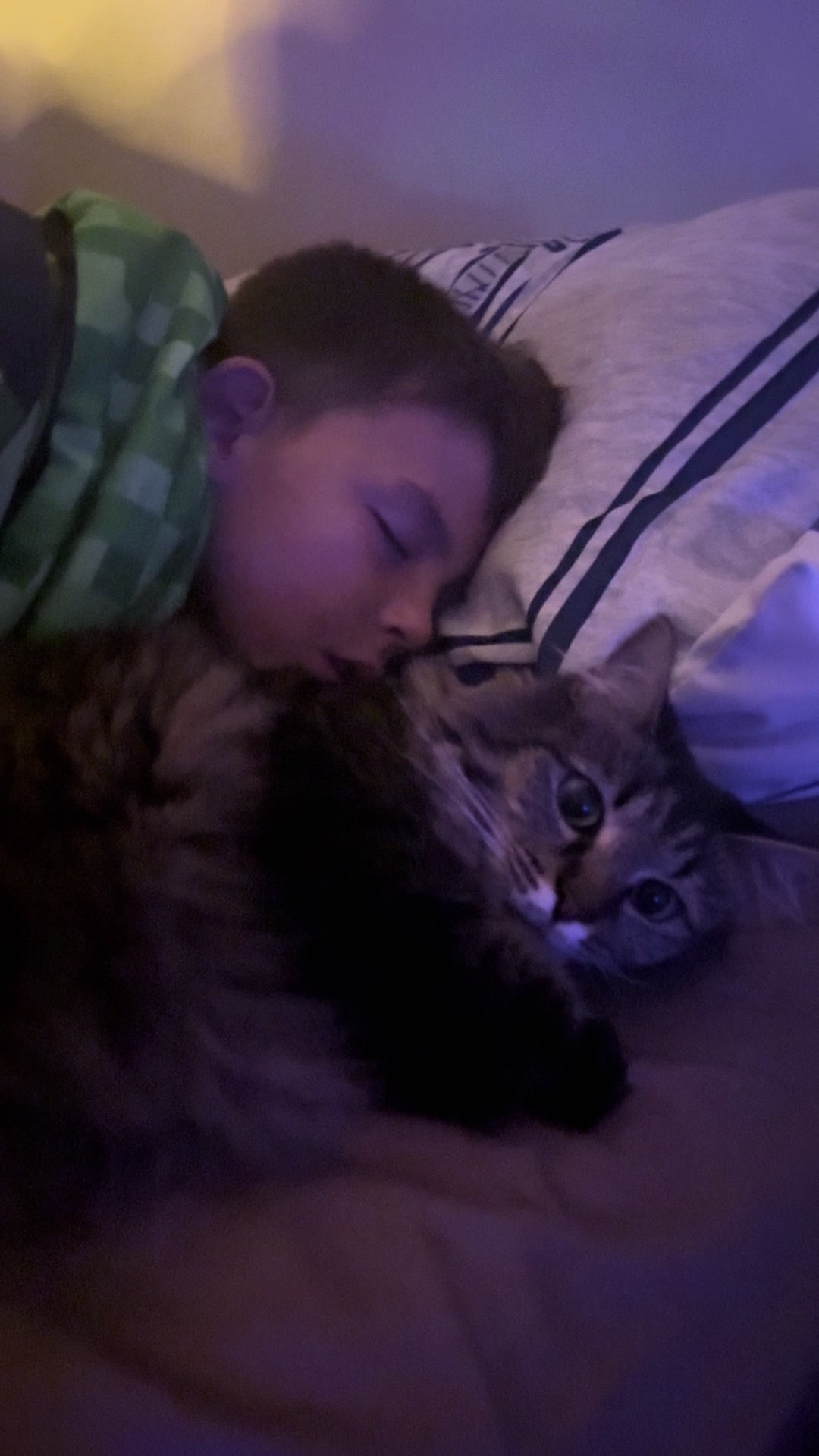 @RoxySnowballCatDrama