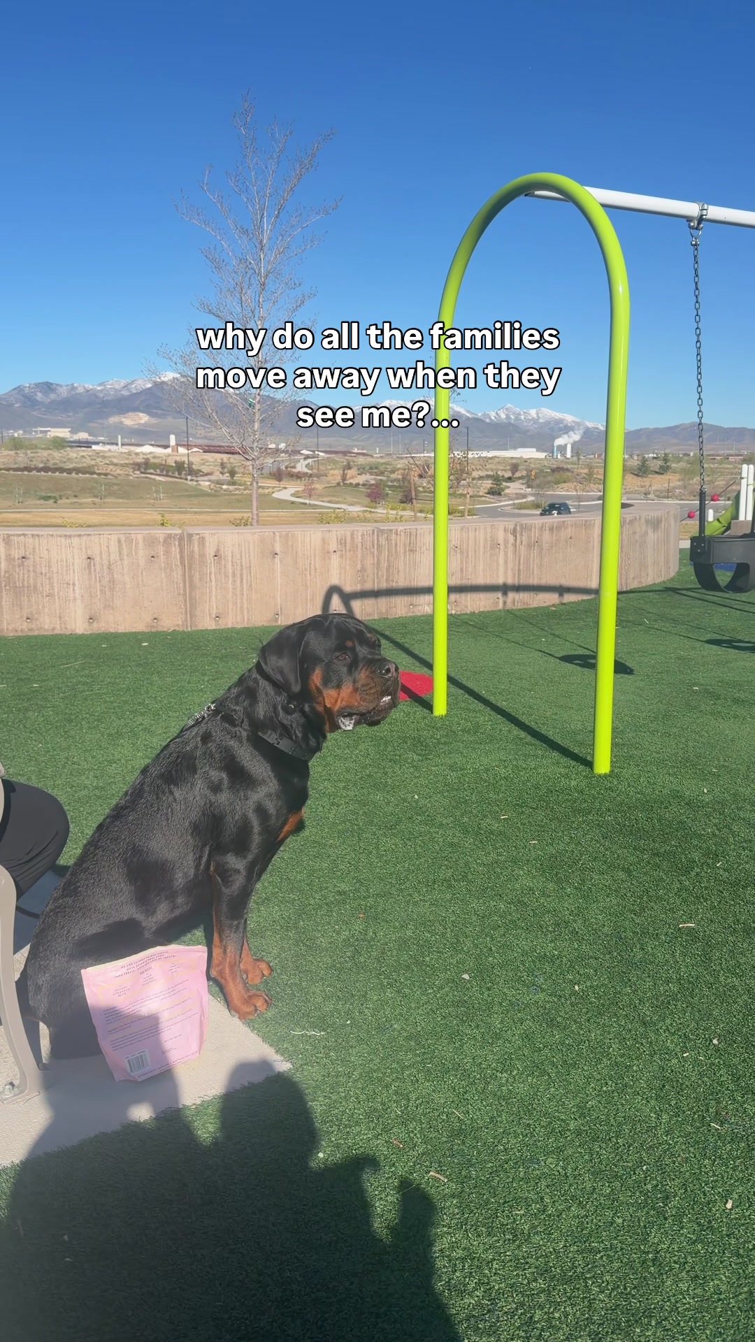 @Rex the Rottweiler