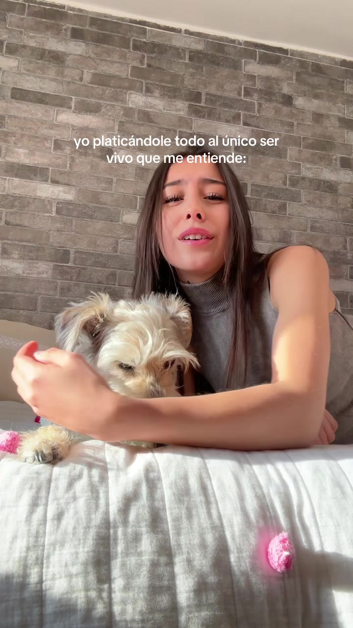 @celiwaki