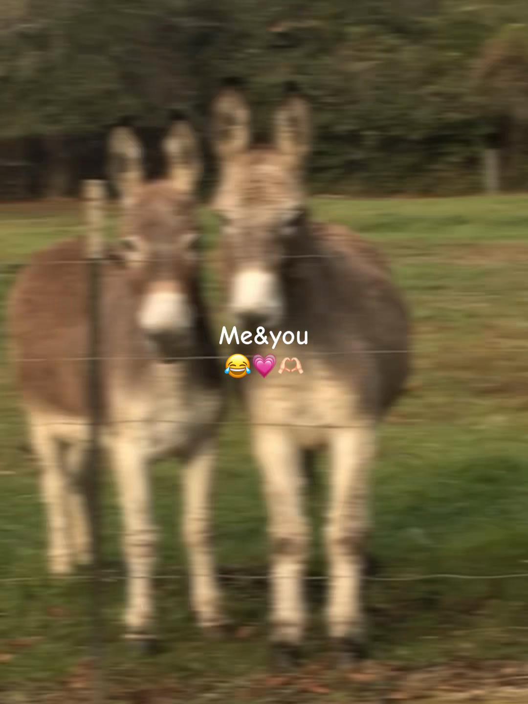 @ᥫᩣXOXO_UᑎKᑎOᗯN𝜗𝜚˚⋆