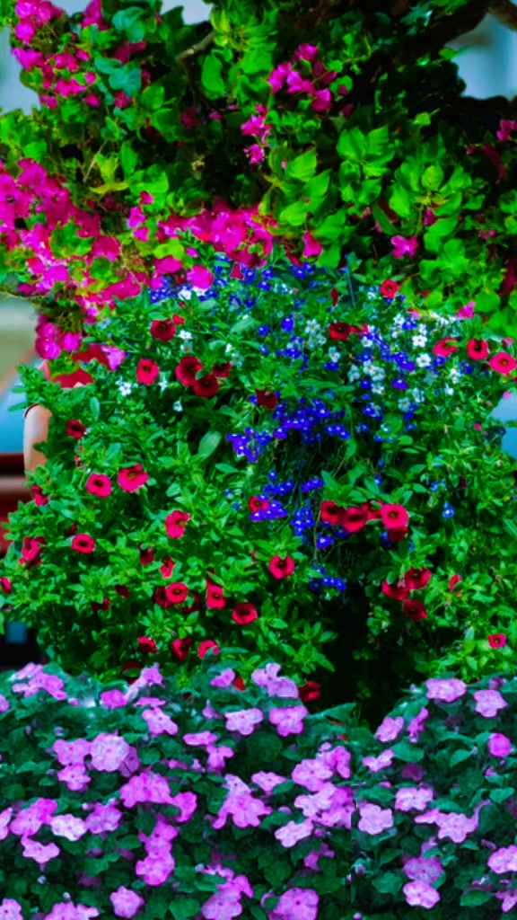 @꧁𝐒𝐢𝐧𝐠𝐥𝐞 𝐛𝐨𝙮 ꧂