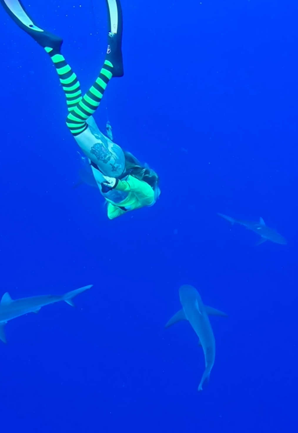@Coralia Dives ๐งโ๏ธ