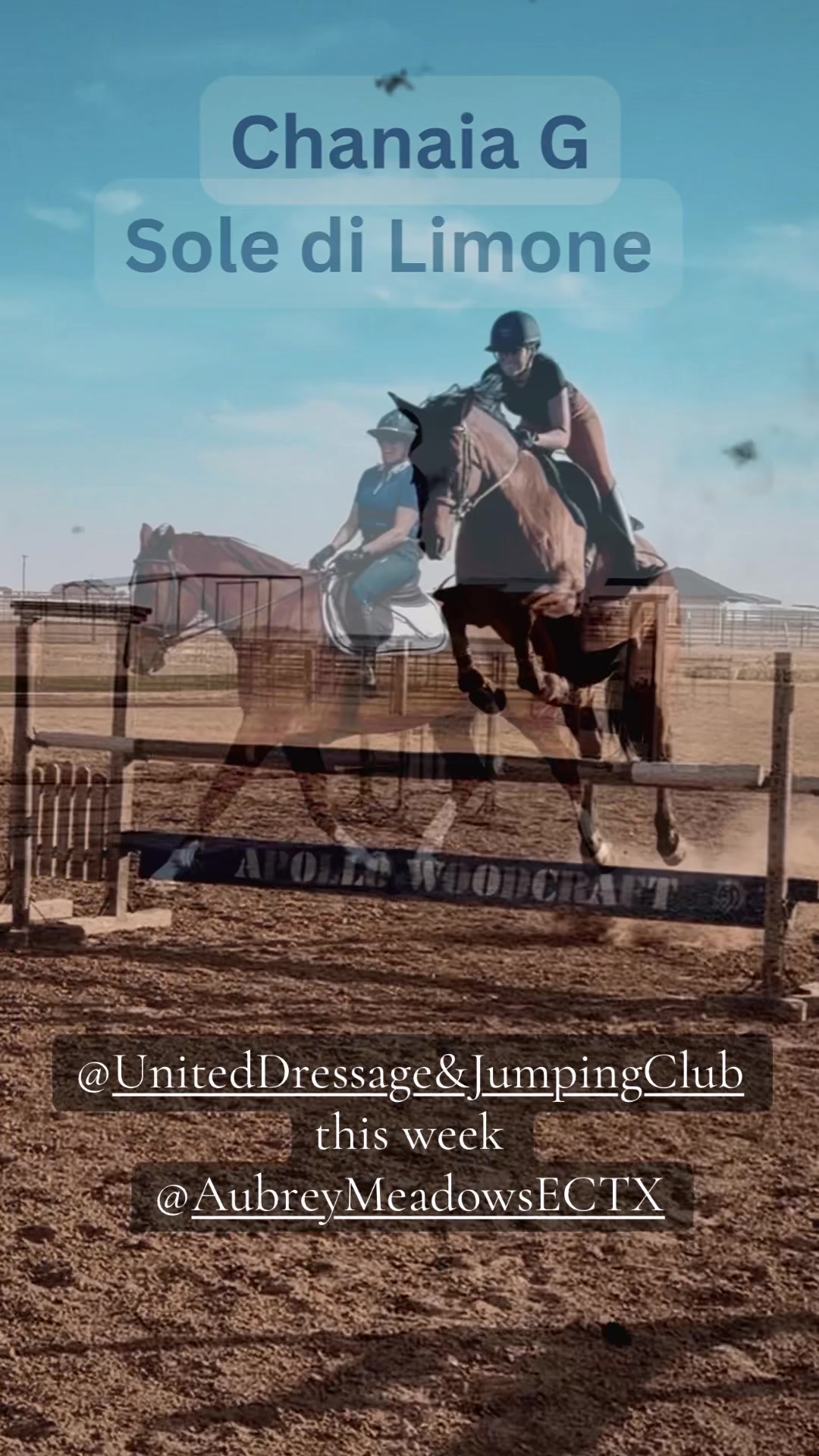 @Grace Equestrian TX
