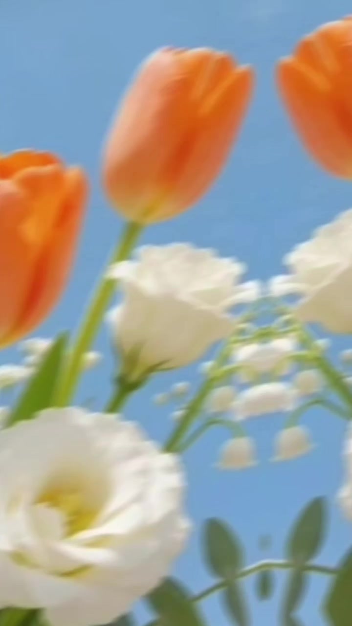 @user8123701182915. jan pakhi
