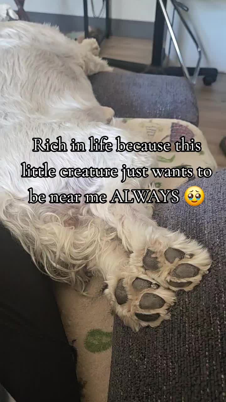 @Its.Ziggy.Stardust