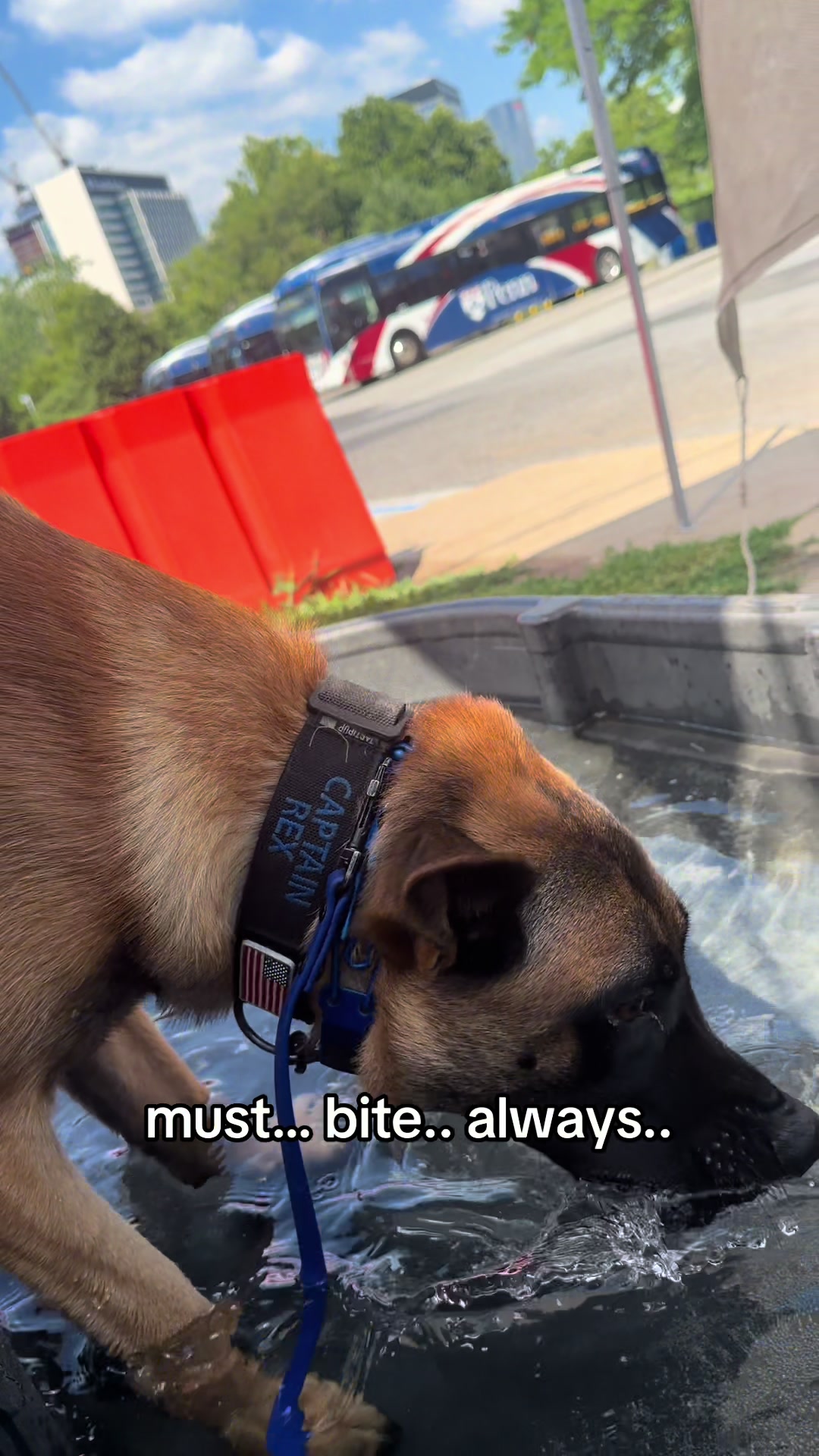 @K9 Obi-Wan, Ahsoka & Rex