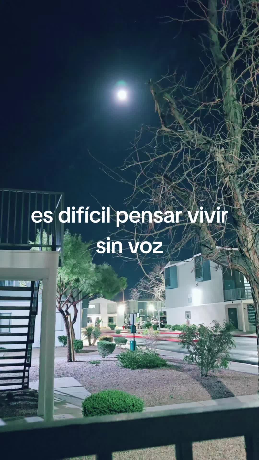 @heidy morales