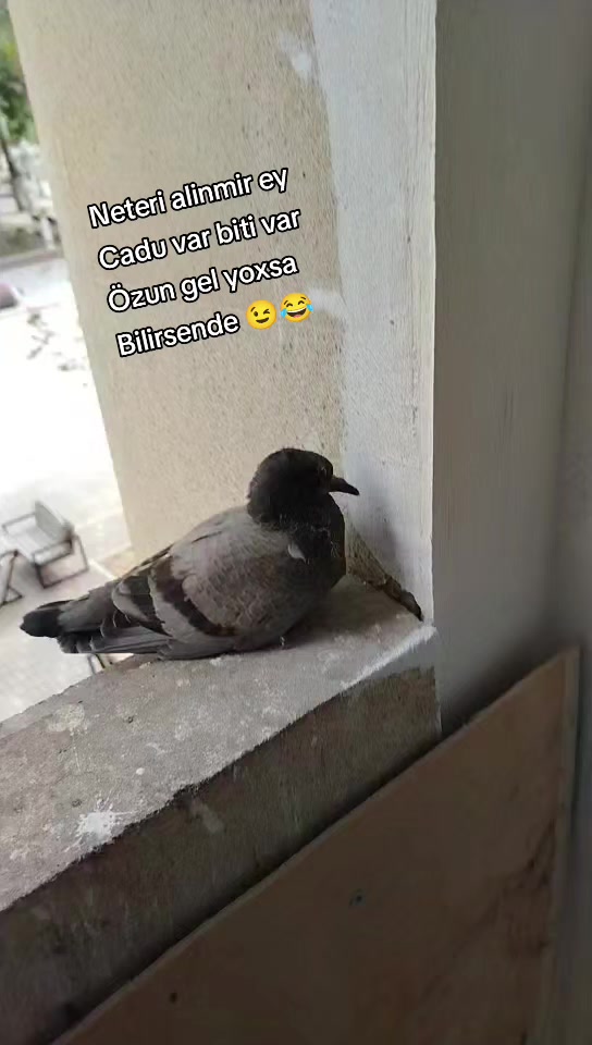 @XANİM_AĞA_020