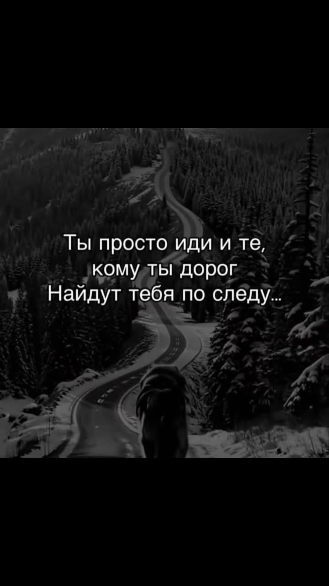 @💫Luna💫