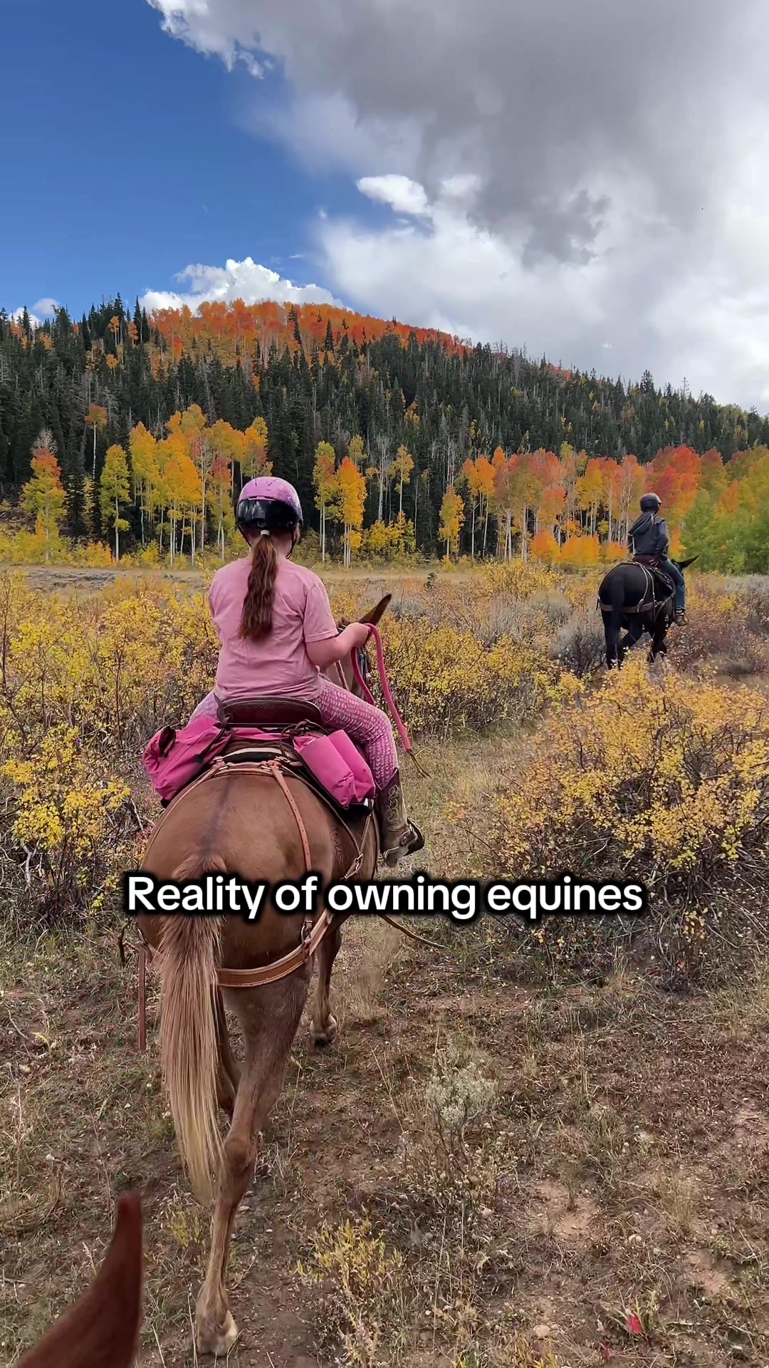 @Skye Evans TSMULES