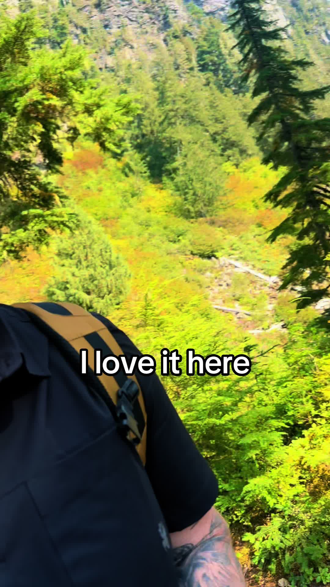 @🌲 James | WA 🏔️