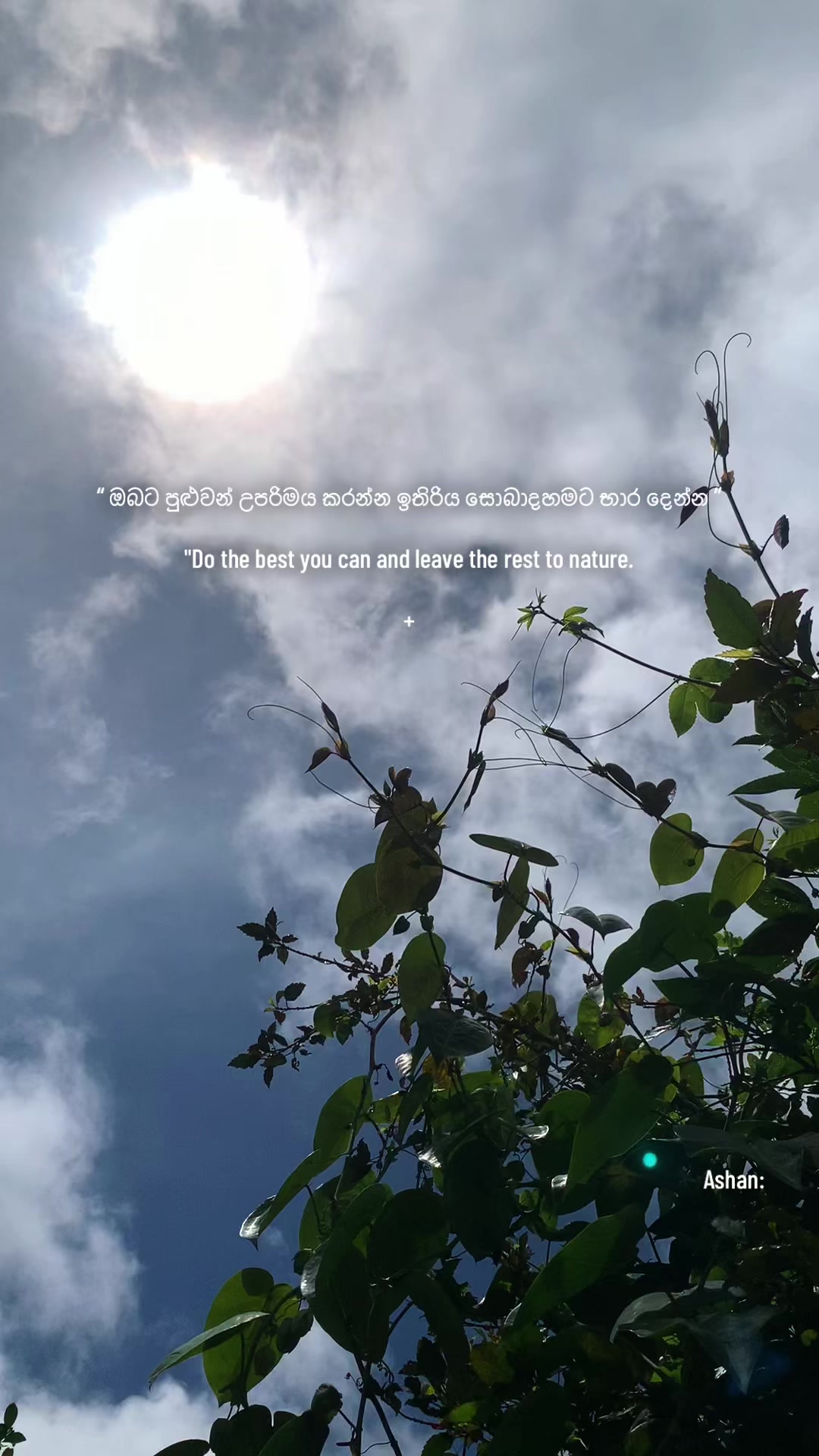 @🍁𝗔𝗦𝗛𝗔𝗡_𝗣o̷𝗣_𝗦𝗠𝗢𝗞𝗘