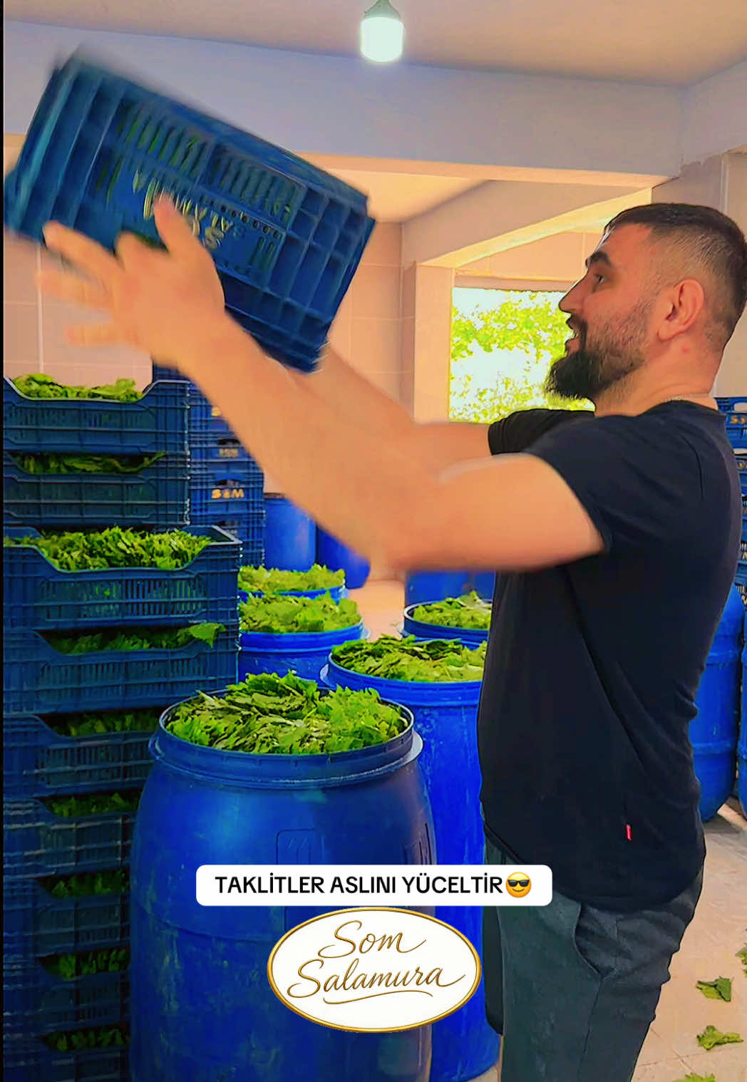 @🍁SOM SALAMURA YAPRAK🍁