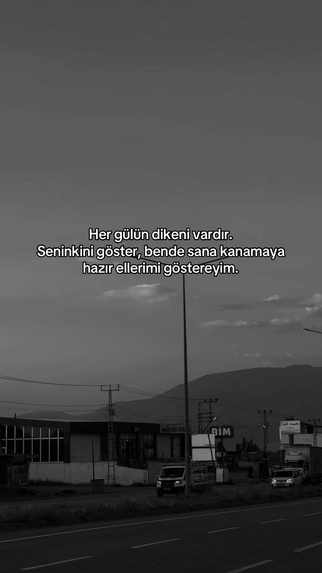 @storyhanemmm_