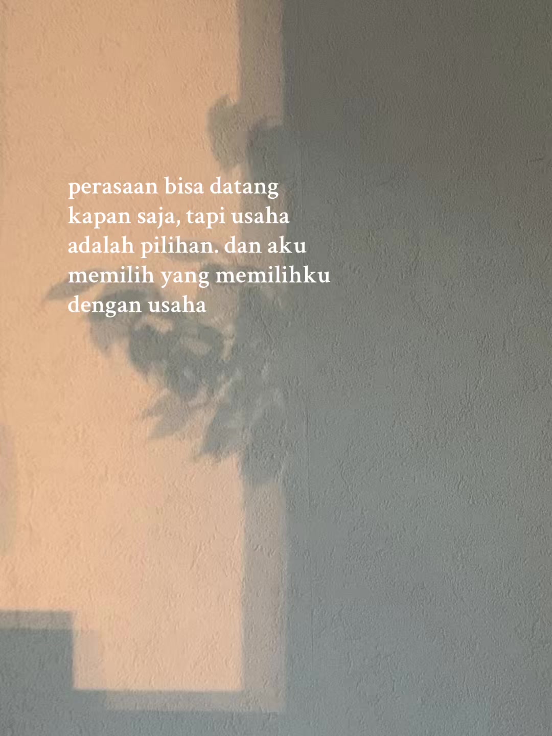 @shyaa⋆. 𐙚˚