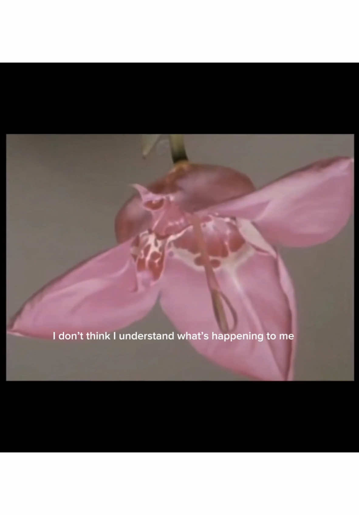 @bloom