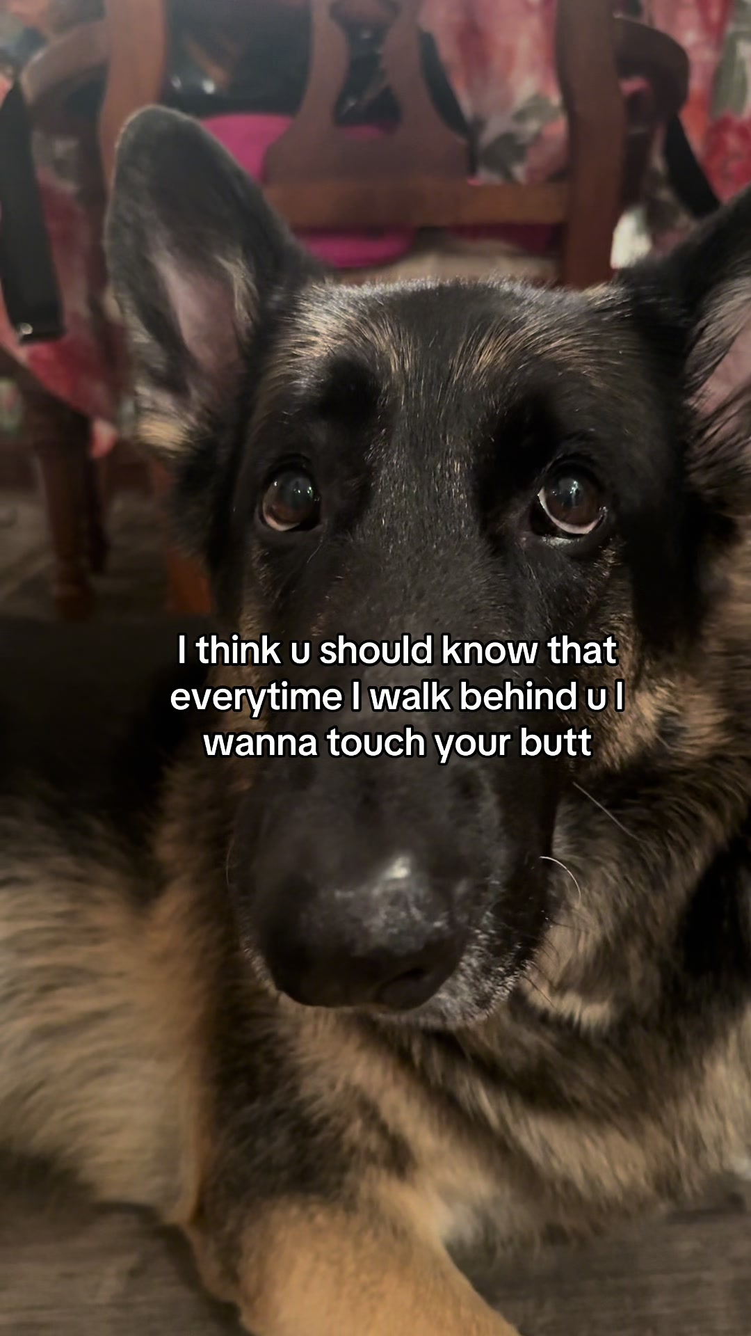 @Bhris