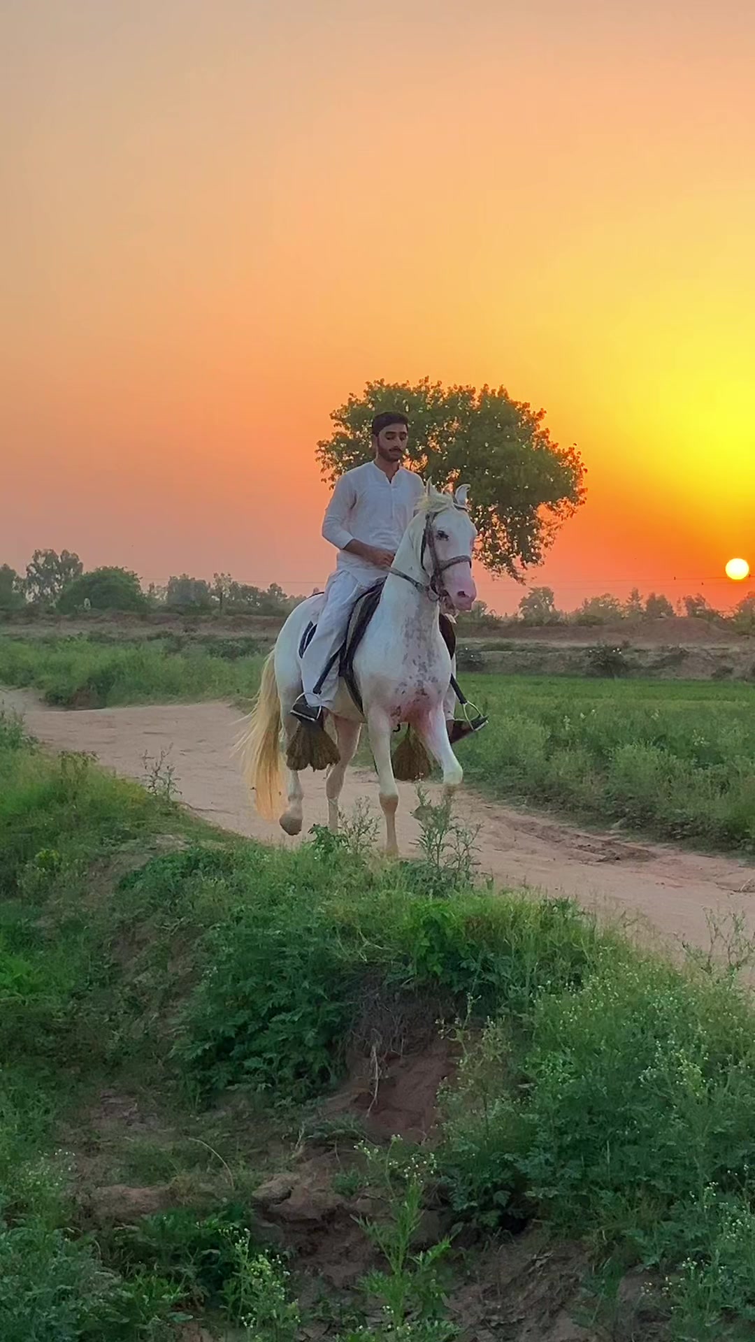 @Malik_Irfan_Shahbazi