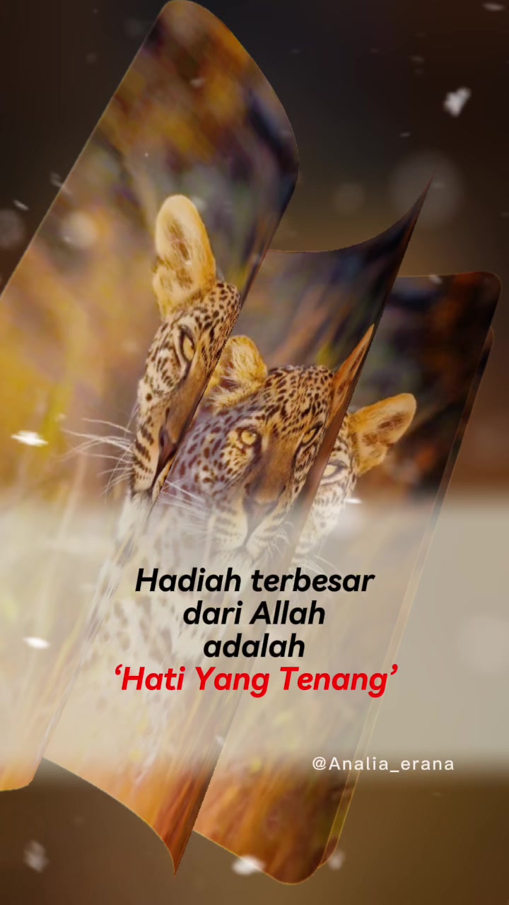@Analia Kim