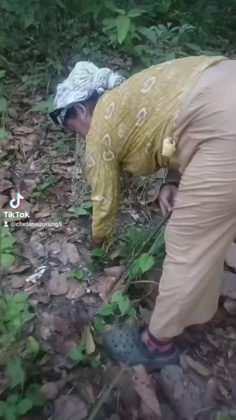 @saru gurung