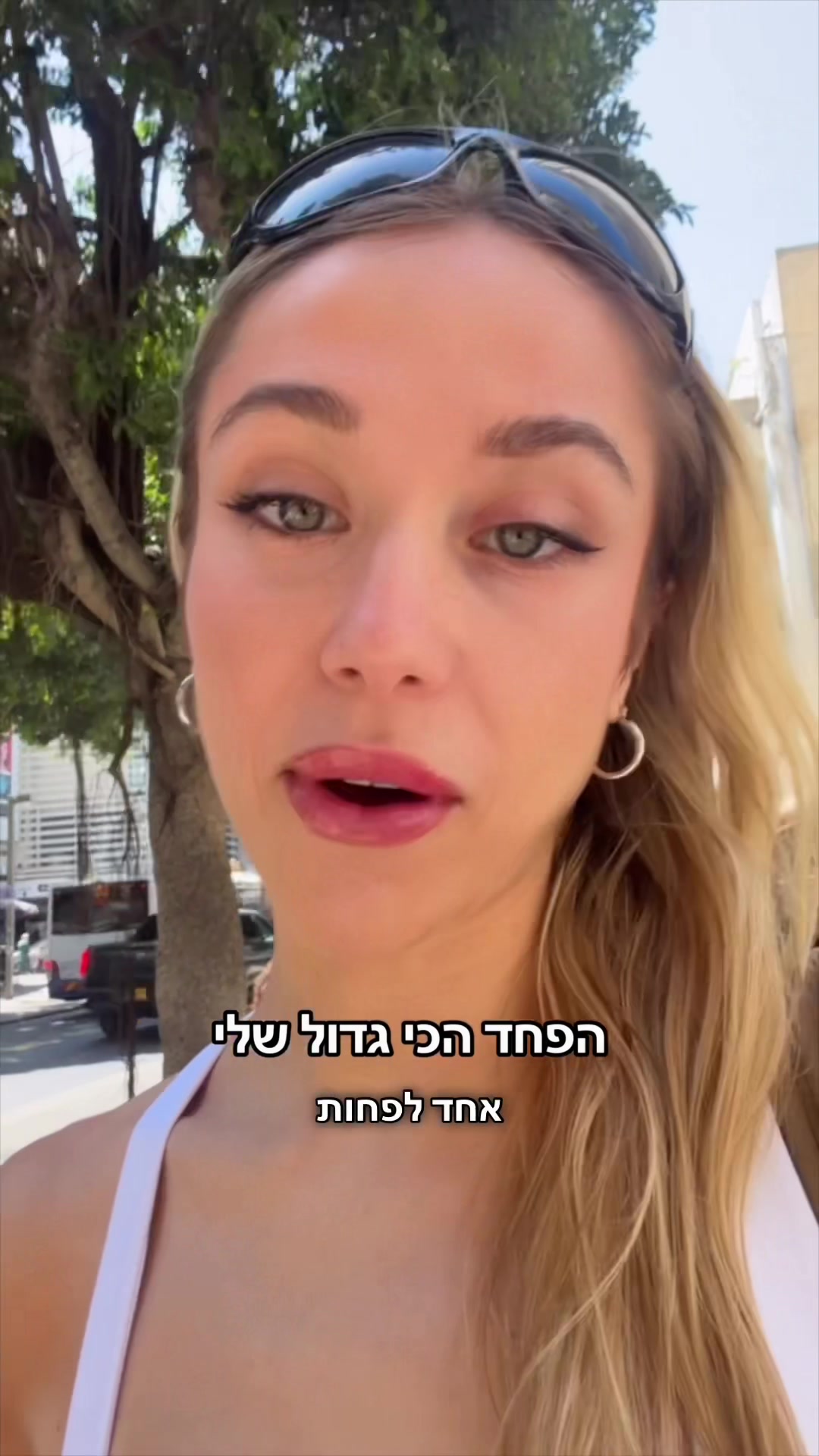@מישל המלכה