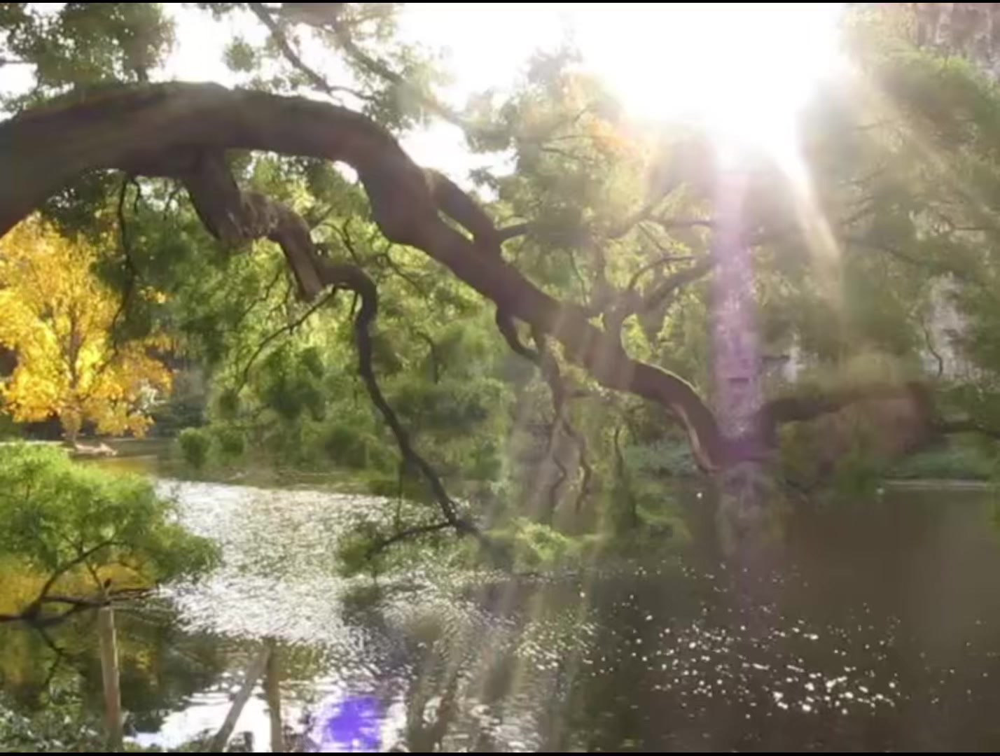 @67