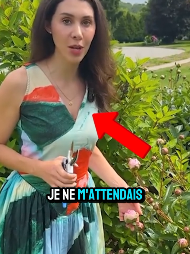 @Planète Jardin 🌿