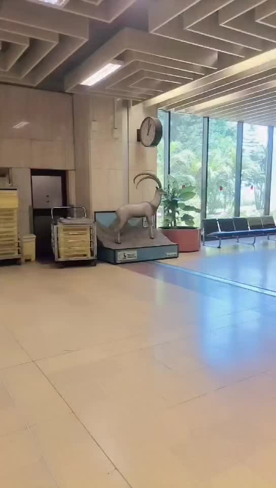 @Jam._.WaQar._.SoلanGi