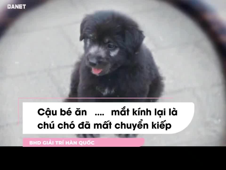 @BHD Giải Tr&iacute; H&agrave;n Quốc