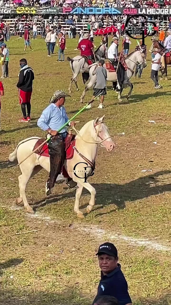 @La Nueva Ola Corralejera